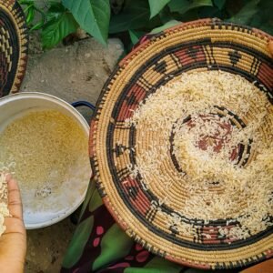 Close-up of hands winnowing rice in a colorful woven basket, highlighting traditional Nigerian culture.